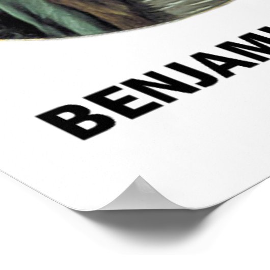 Poster Benjamin Franklin Trois Choses Extrêmement Diffici (Coin)