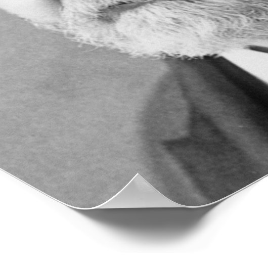 Poster Benjamin Harrison 23 (Coin)