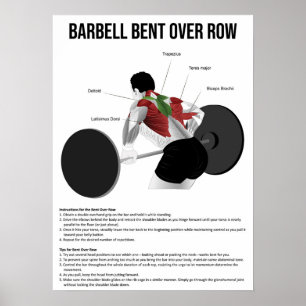 Poster Bent Over Row - Exercice - Anatomie musculaire
