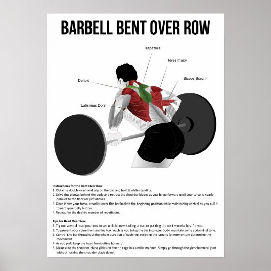 Poster Bent Over Row - Exercice - Anatomie musculaire (Devant)