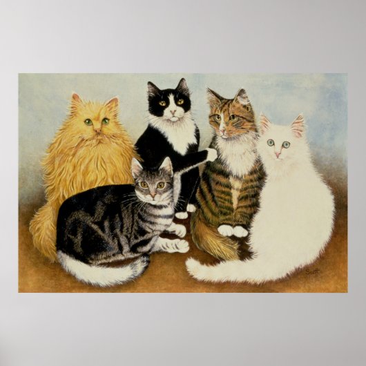 Poster Berceau de chat (Devant)