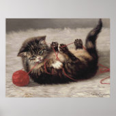 Poster Berceau de chat, un chat jouant avec une pelote de (Devant)