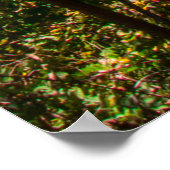 Poster Berea Falls, Ohio (Coin)