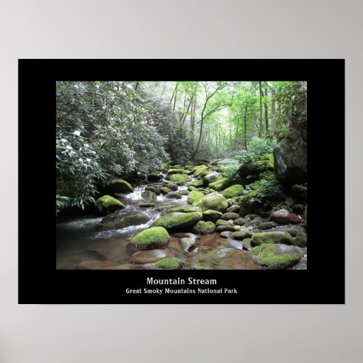 Poster Bergbeek Grote Smoky Mountains (Voorkant)
