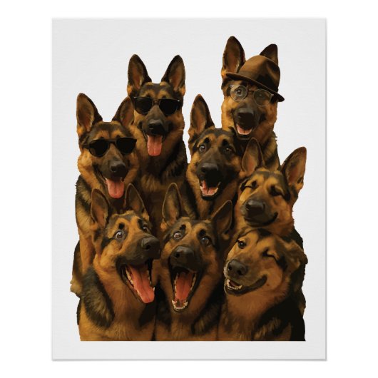 Poster Berger allemand (Devant)
