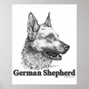 Poster Berger allemand