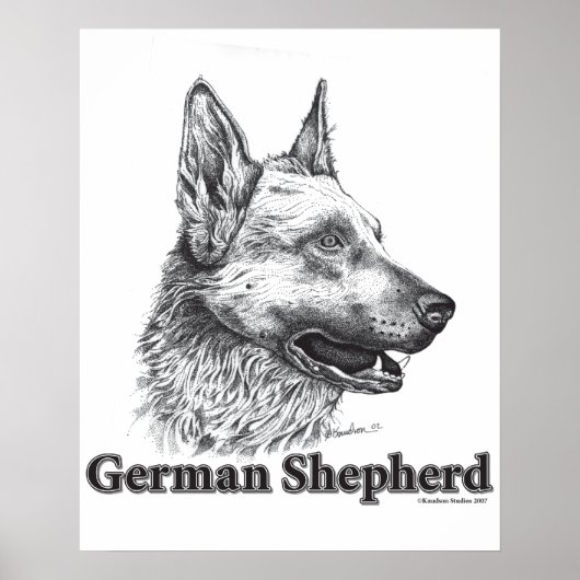 Poster Berger allemand (Devant)