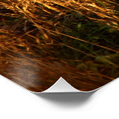 Poster Berger allemand (Coin)