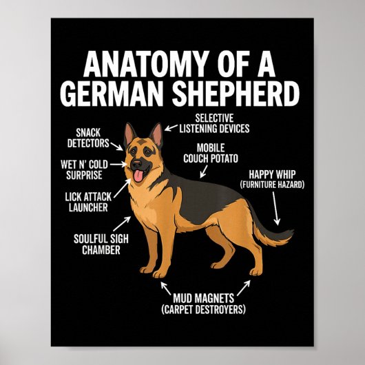 Poster Berger allemand (Devant)