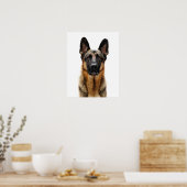 Poster Berger allemand assis (Cuisine)