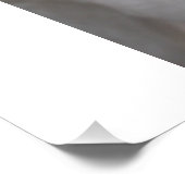Poster berger allemand blanc (Coin)