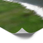 Poster Berger allemand blanc (Coin)