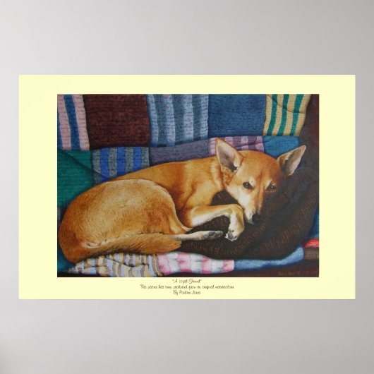 Poster berger allemand du labrador chien de race mixte (Devant)
