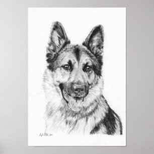 Poster Berger allemand en graphite