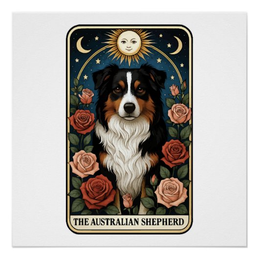 Poster berger australien (Devant)