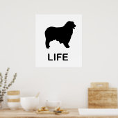 Poster berger australien (Cuisine)