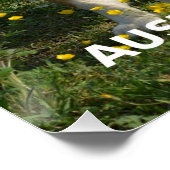 Poster berger australien bleu merle amour w pic (Coin)