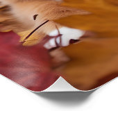 Poster Berger australien en automne Leaves automne Inspir (Coin)