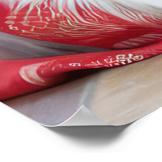 Poster Berger australien près de la cheminée Noël (Coin)