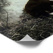 Poster Berger avec agneau et bordure Collie~Poster (Coin)