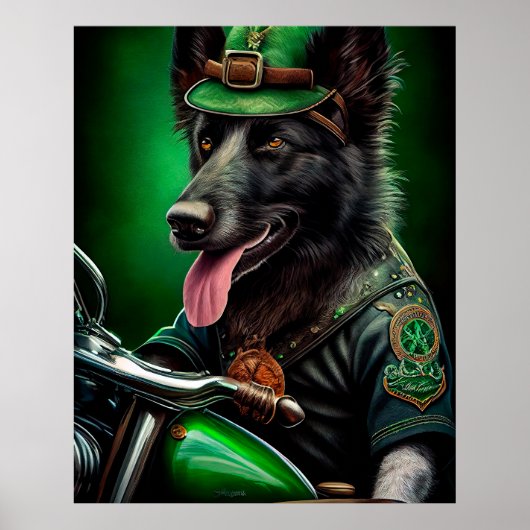 Poster Berger belge conduisant un vélo Saint-Patrick (Devant)