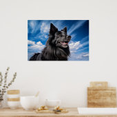 Poster Berger belge Groenendael (Cuisine)