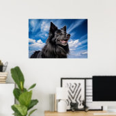 Poster Berger belge Groenendael (Bureau à domicile)