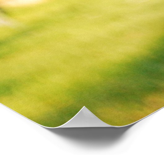 Poster berger belge malinois (Coin)