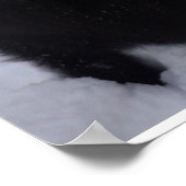 Poster Berger belge noir dans la neige (Coin)