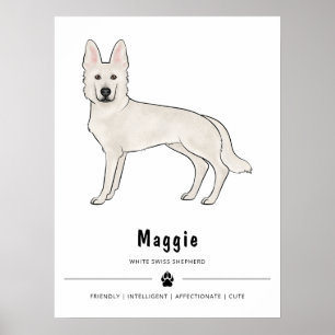 Poster Berger Blanc Suisse White GSD et texte personnalis