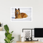 Poster Berger de longue date en neige (Bureau à domicile)