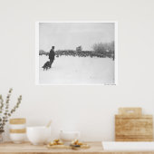 Poster Berger et chien au camp des moutons (Cuisine)