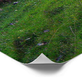 Poster Berger et son mouton (Coin)