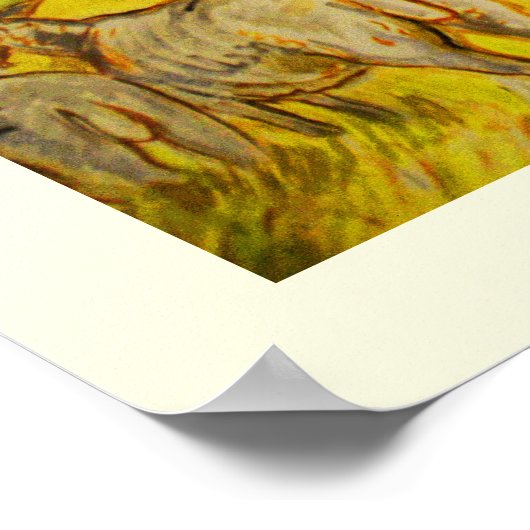 Poster Bergers (Coin)