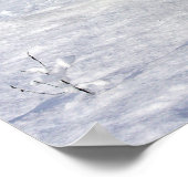 Poster Bergers allemands en courant dans la neige (Coin)