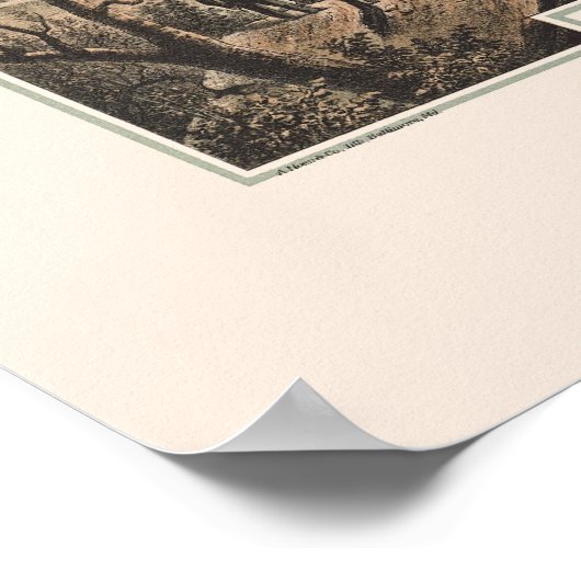 Poster Berkeley Springs, WV Panoramic Map - 1889 (Coin)