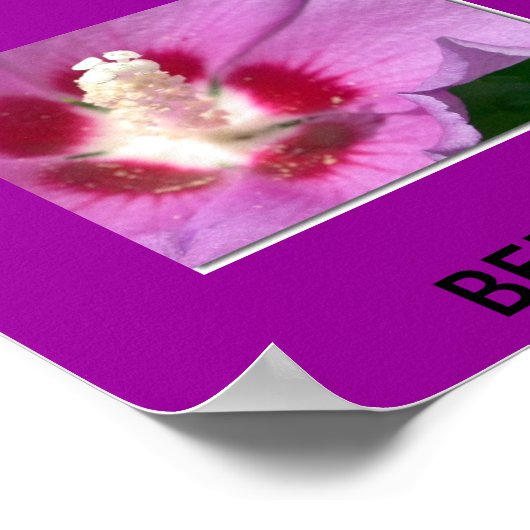 POSTER BERMUDA (Coin)