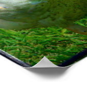 Poster Bernard (Coin)