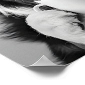 Poster Bernese Mountain Dog and Coffee Wall Art, Black an (Coin)