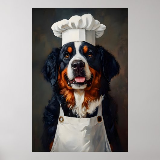 Poster Bernese Mountain Dog In Chefs Hat Poster, Pet (Devant)