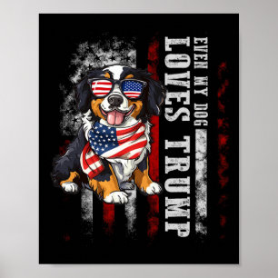 Poster Bernese Mountain Même Mon Chien Aime Trump Funny