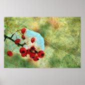 Poster Berries (Devant)