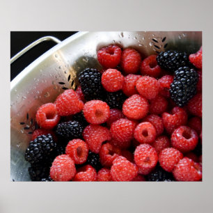 Poster Berries en Colander 03