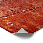 Poster Berries et Grange (Coin)