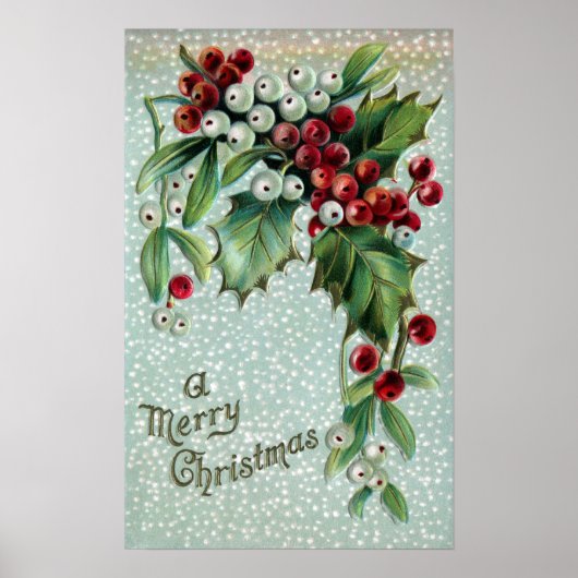 Poster Berries Holly et Mistletoe (Devant)