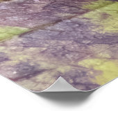 Poster Berries on a Branch (Coin)