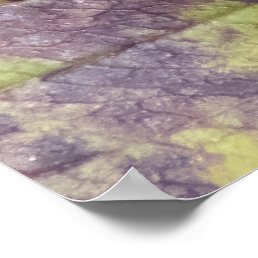 Poster Berries on a Branch (Coin)