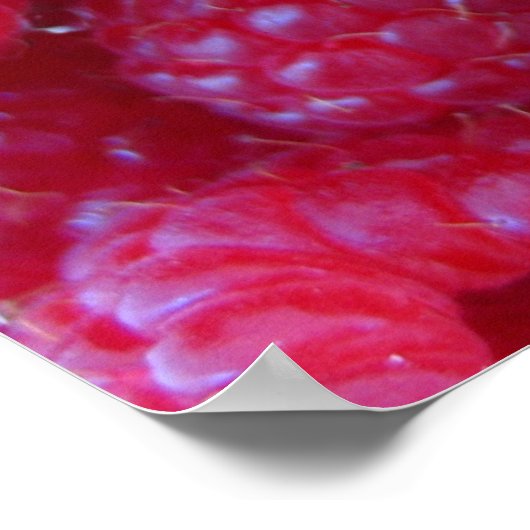 Poster Berries - Prendre 4 (Coin)