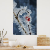 Poster Berry (Cuisine)