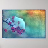 Poster Berry Cold (Devant)